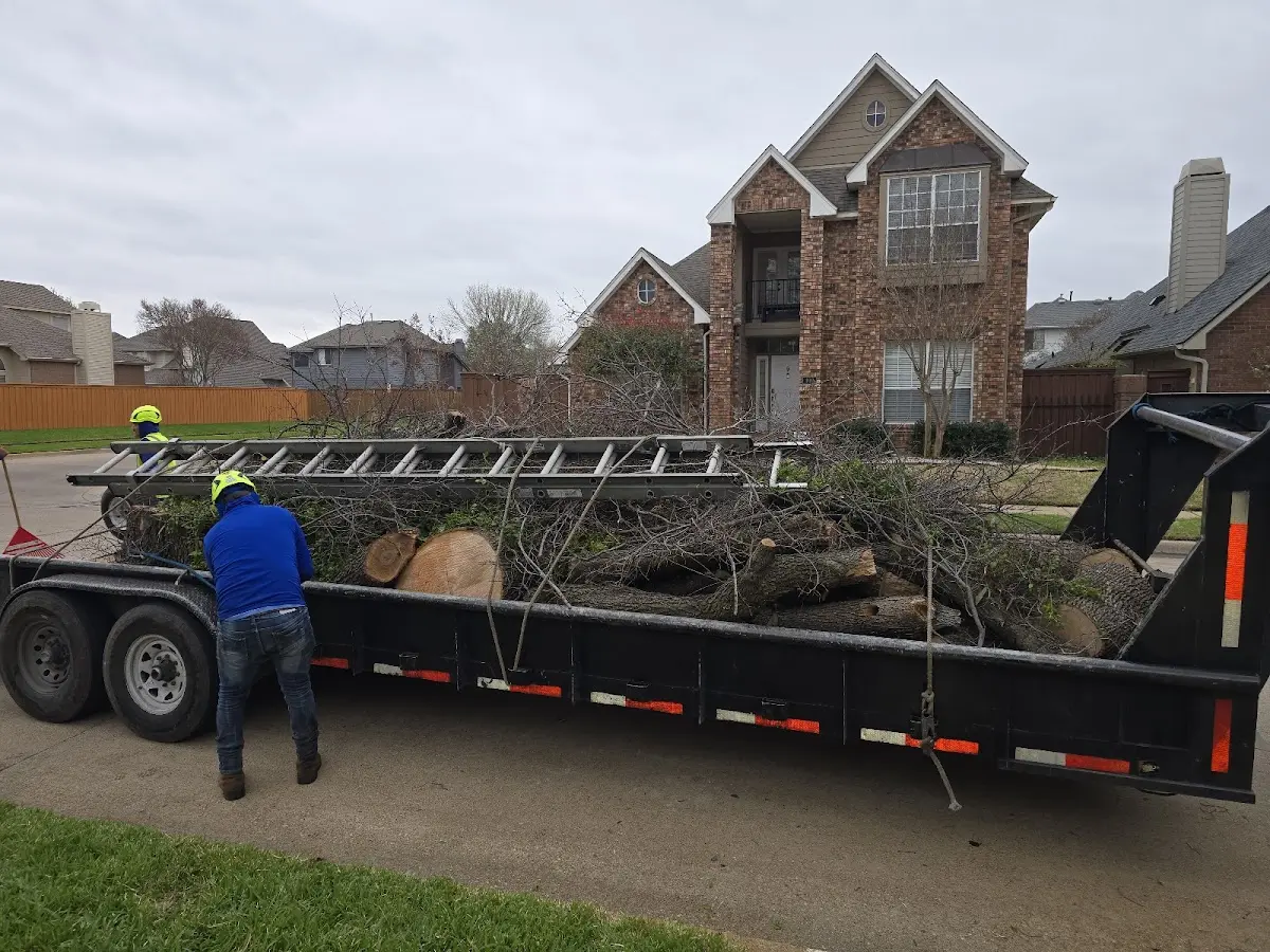 Expert Crown Reduction with proper safety equipment in Trout Lake